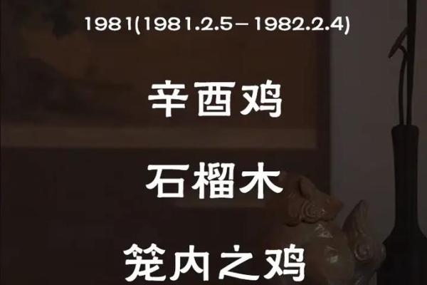 生肖暗战：揭秘地支透杀背后的神秘力量