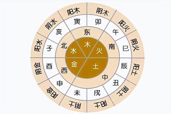 古老智慧，十二地支带你领略五行魅力