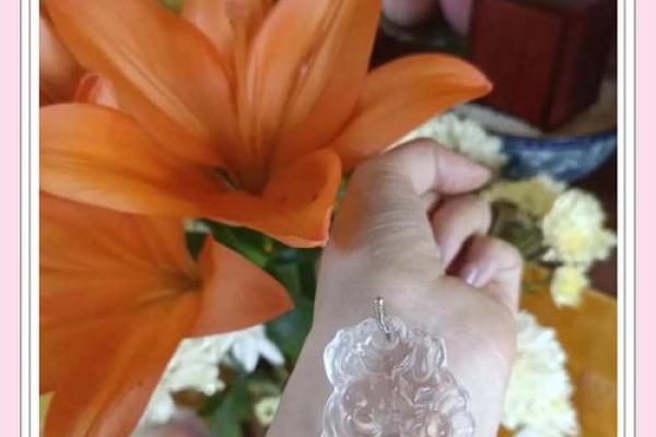 李阳风水命理秘籍：掌握人生财运的秘诀！