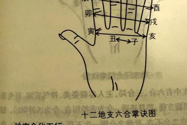巳亥相冲，感情波折：如何化解地支相冲带来的感情危机？