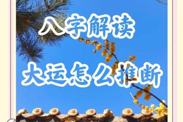 解读生辰八字与体重的神秘联系