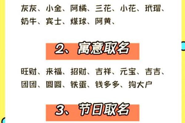 狗宝宝诗意宋词命名