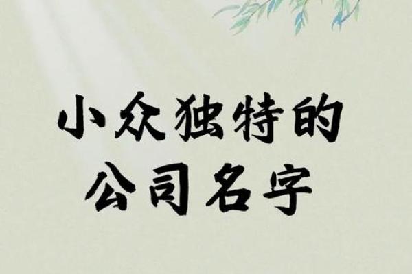 如何为亿公司创造一个独特且有吸引力的名字