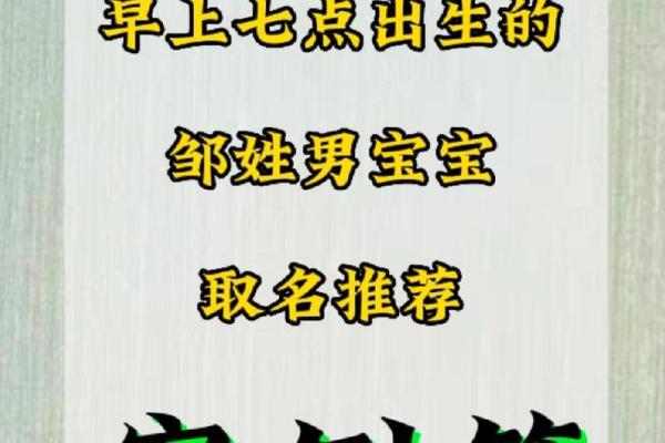 邹姓宝宝起名指南：经典名句，传承文化