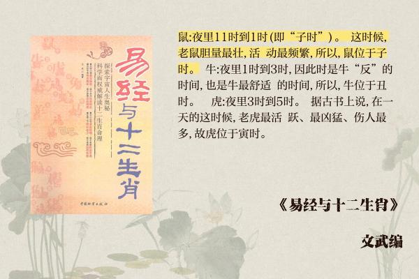 生肖时辰为灵感的公司命名指南