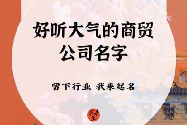 商贸精英，名扬四海——创新商贸公司命名策畿