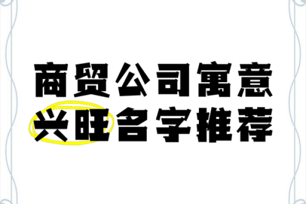 商贸精英，名扬四海——创新商贸公司命名策畿