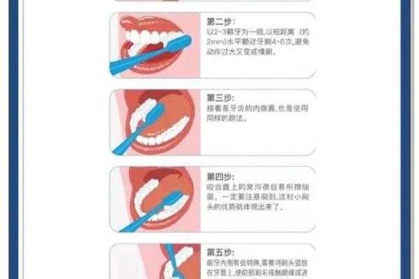 牙齿秘密：揭秘牙齿与命运之间的神秘联系