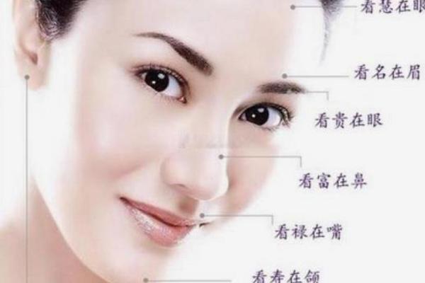 面相解码：揭秘女性智商的秘密