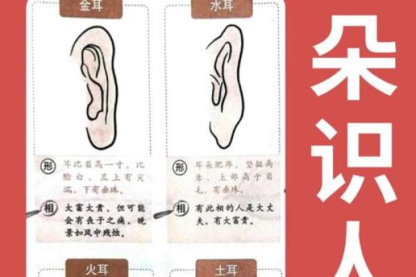 面相解码：揭秘女性智商的秘密