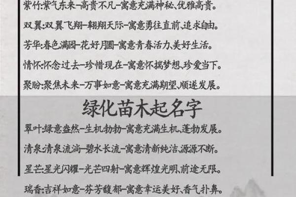 视频创意公司命名灵感大全