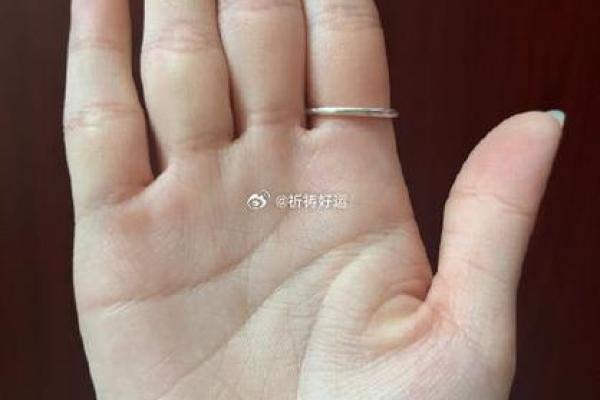 手部线条，解锁命运密码