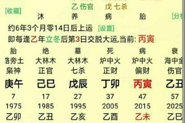 掌握生辰八字：从出生时间看命运走势