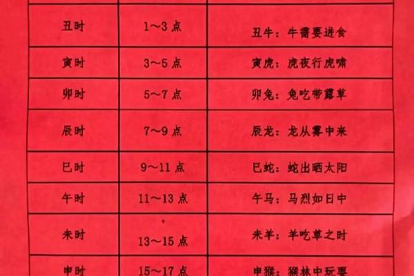 掌握生辰八字：从出生时间看命运走势