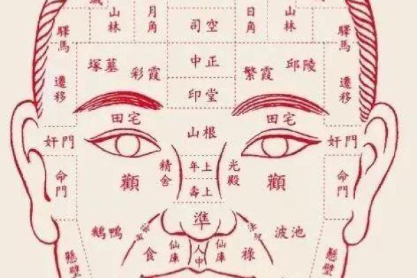 洞察人生百态：罗镇面相大师的智慧解析