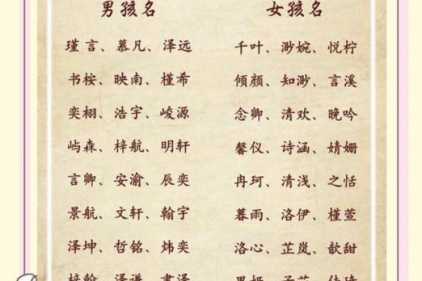 丁家宝贝：寓意吉祥的男宝宝名字精选