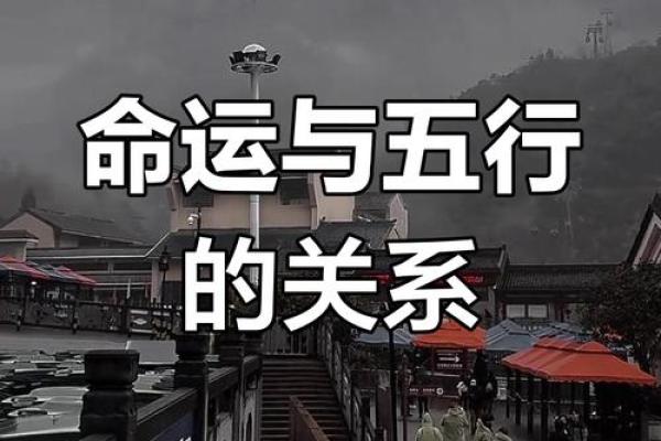 揭开命运之谜：古法命理揭秘人生轨迹