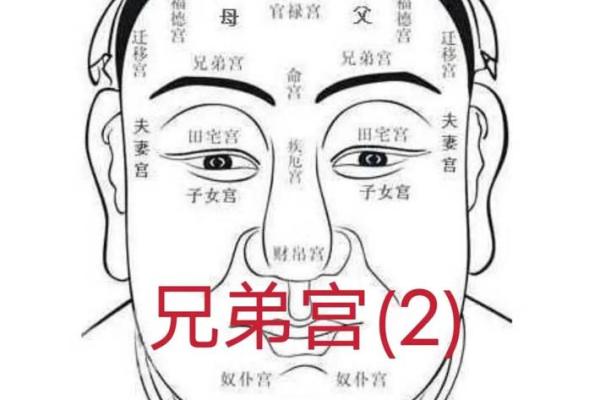 乱眉面相揭秘：揭秘你的命运密码！