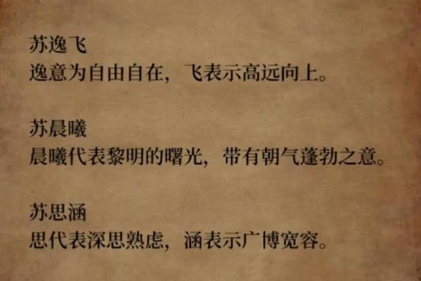 舒姓宝宝名字精选：寓意美好，彰显个性