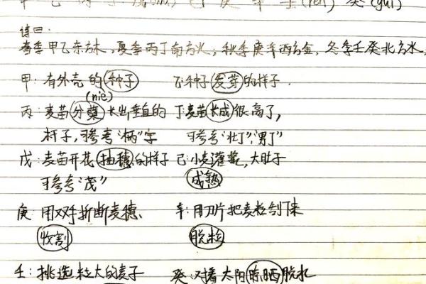 如何通过日主天干了解个人命运