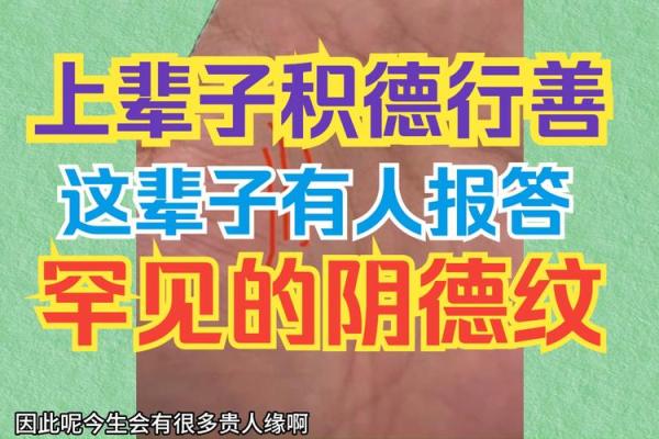 阴骘手相揭秘：运势密码，掌握命运的风向标