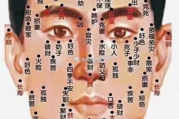 痣相之美：全面图解痣相女身体特征，教你如何辨识