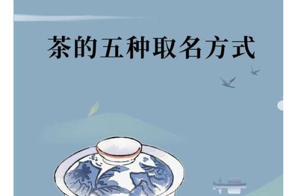 茶业公司取名创意大全，助力品牌脱颖而出