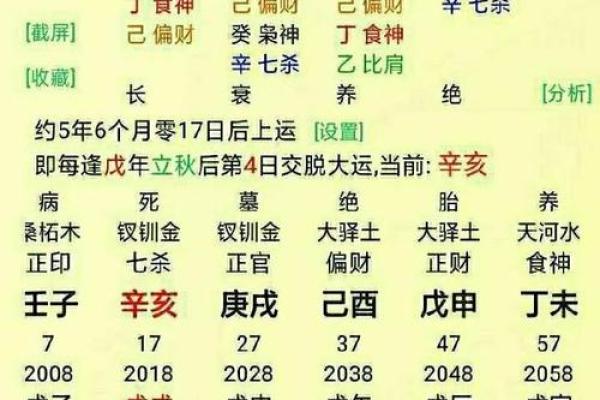 天地姻缘：地支天干揭秘完美合婚秘诀