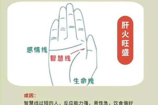 神秘解码：掌上风水，手纹中的财运密码