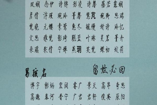 阿语女孩名字的独特魅力与文化含义