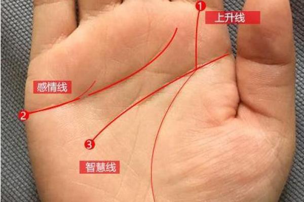 手相中的悲剧密码：最差命运手相特征大揭秘！
