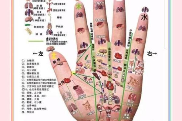 手相秘籍：揭秘命运之谜的手指密码
