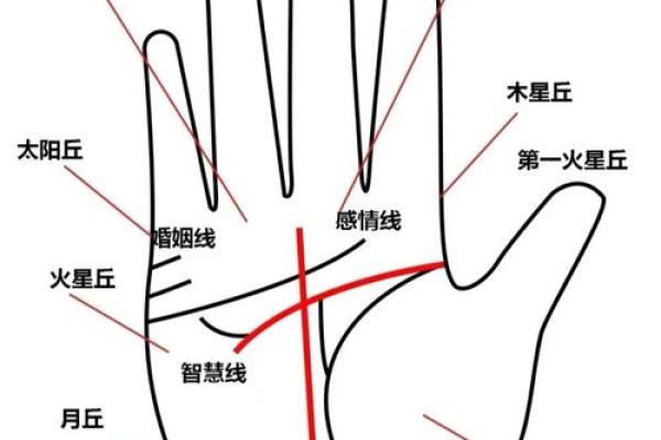 手相秘籍：揭秘命运之谜的手指密码
