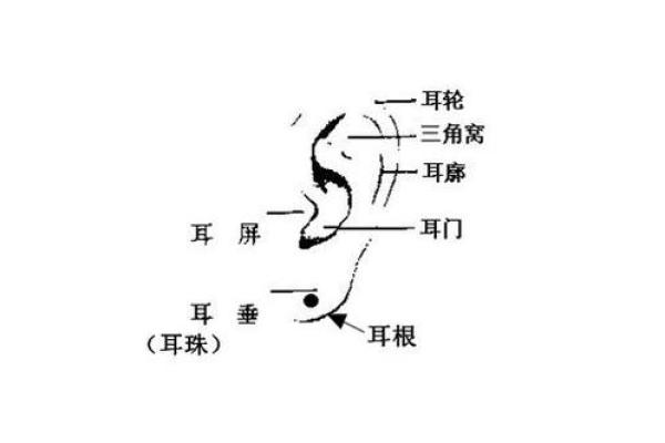 耳垂痣是福是祸？麻衣神相为你揭开面纱