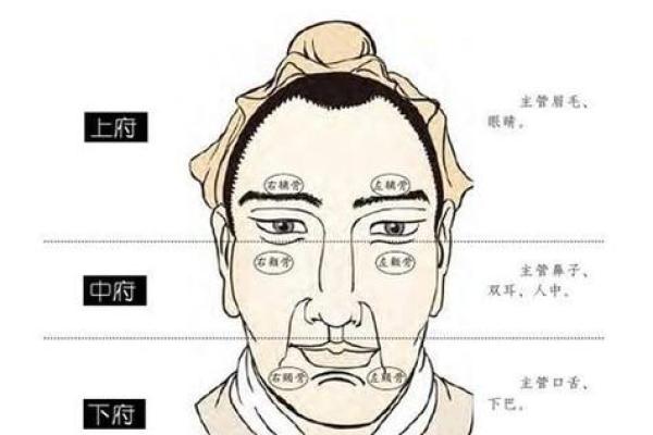 面相识金：富豪老板的贵气印记
