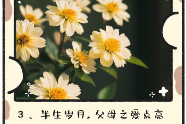 左右眼相映生辉，父母面相透露智慧与慈爱之光