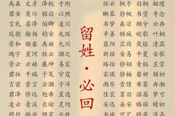 孙姓宝宝，寓意美好的名字精选