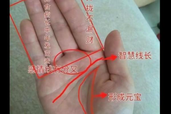 手相解读：细纹密集，运势如何？