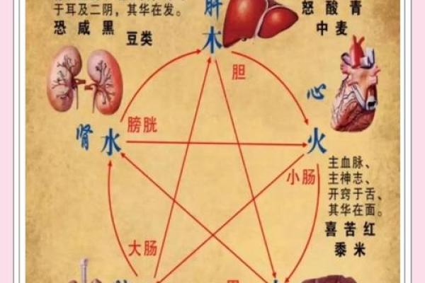 风水与五脏相融：打造健康家居环境的五大秘诀