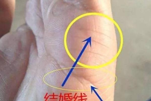 手相婚姻线揭秘：掌握幸福婚姻的密码