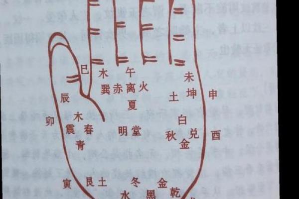 神秘手相密码，贯穿线揭示运势大揭秘