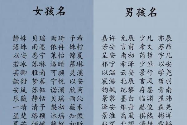 男孩名字排名趋势分析：最受欢迎的男孩名字