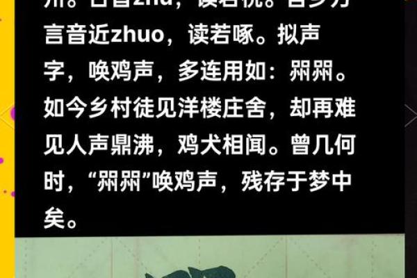 探寻嫮这个名字背后的深层寓意
