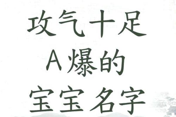 官姓宝宝名字精选：经典与现代交融