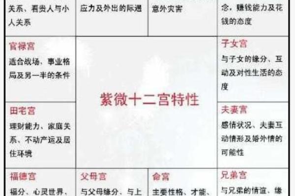 十二宫的起源与象征意义解析