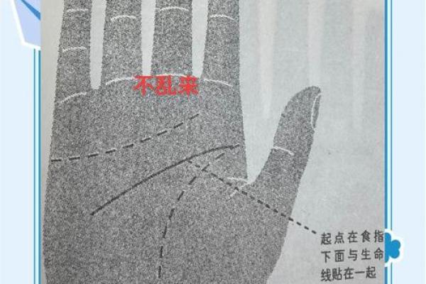 探索未知，手相指引远行路