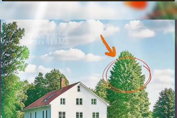 家居风水摆设宝典，助你生活美满幸福