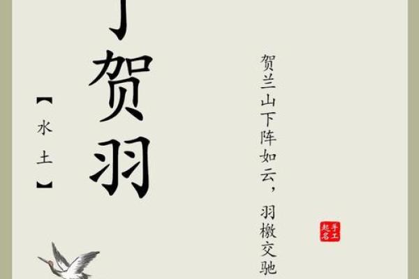 丁氏新生儿：创意独特的男孩名字推荐