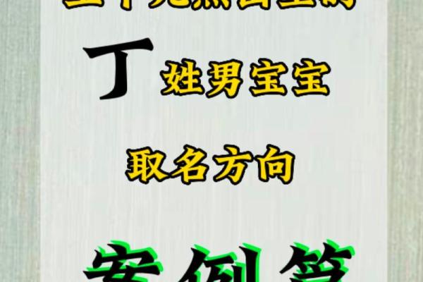 丁氏新生儿：创意独特的男孩名字推荐