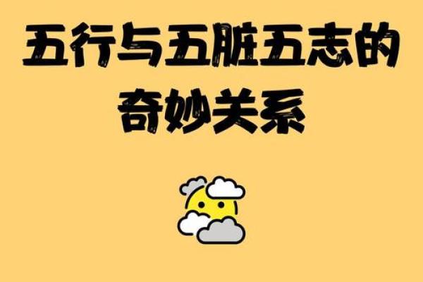 志在五行中代表的含义